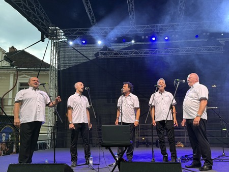 Poletje v Kamniku_glasbene skupine (2)